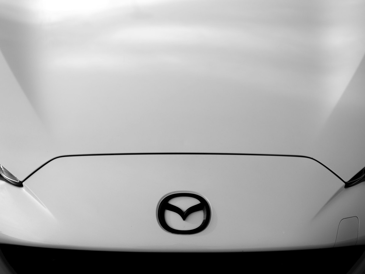 Virtual Nexus Collab